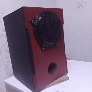 New design 8 Inch Subwoofer in Cabinet