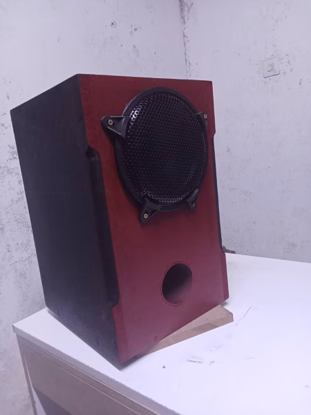 New design 8 Inch Subwoofer in Cabinet